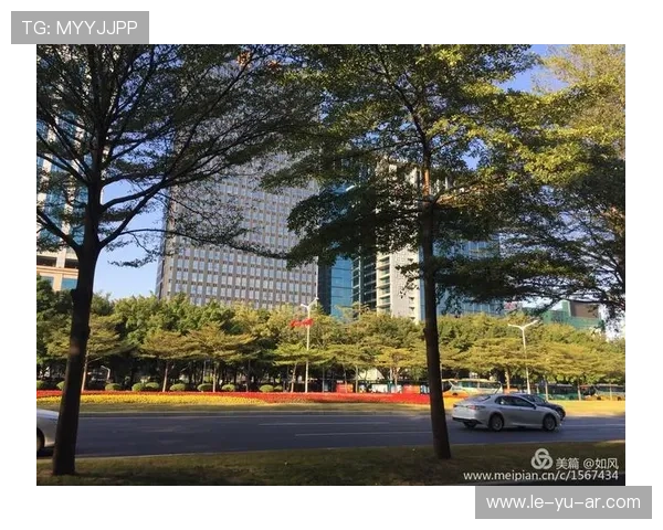 托比亚斯租借期满回归，球队迎来重要战力补充